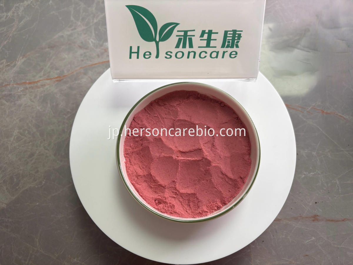サワーチェリーフリーズドライパウダー Freeze Dried Sour Cherry Powder Close-up